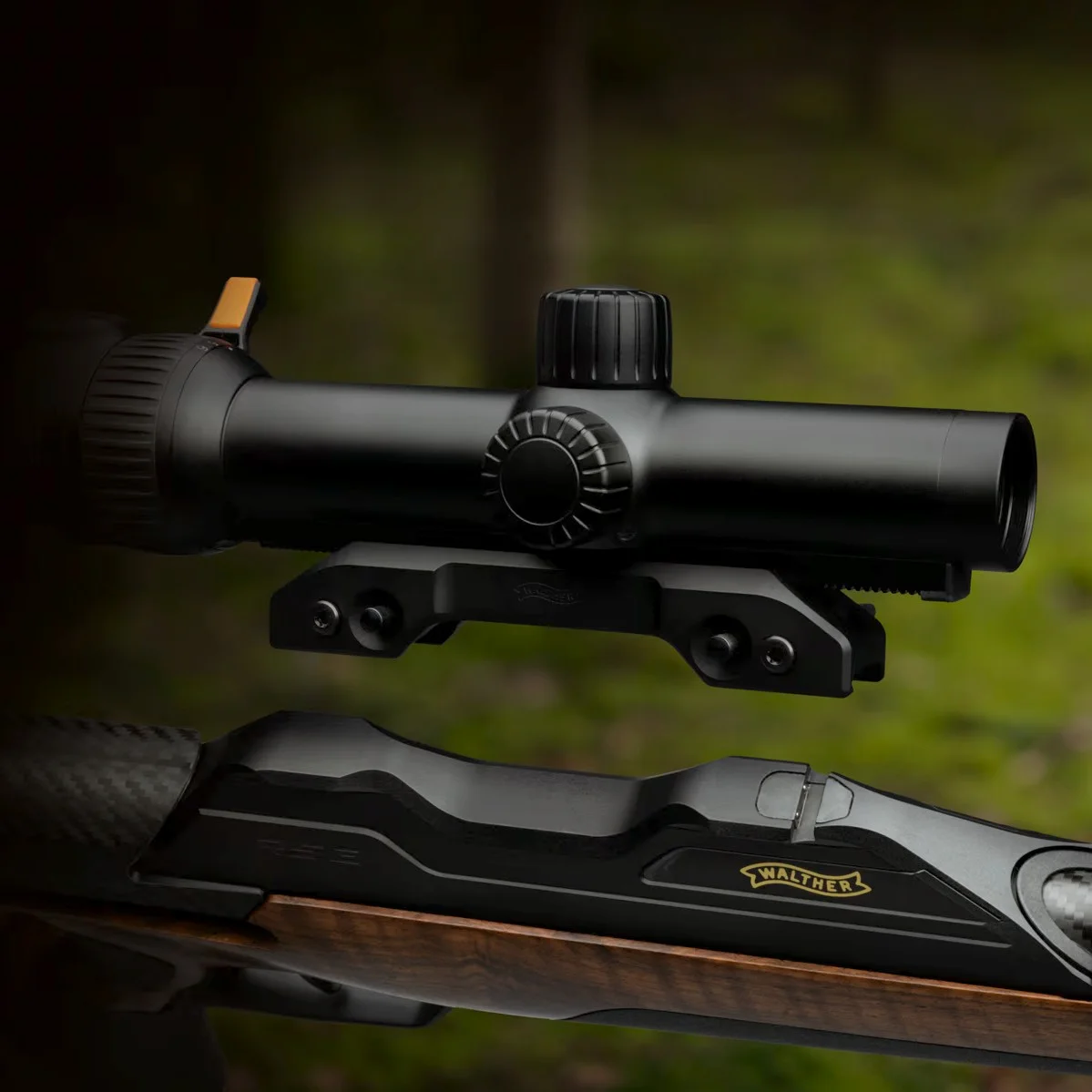 Osada z orzecha kaukaskiego klasy 4 w sztucerze Walther RS3 Heritage Fourstar .308 Win